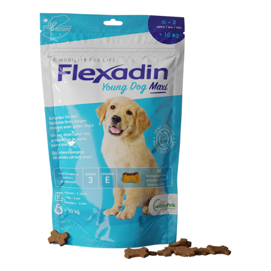 FLEXADIN YOUNG DOG MAXI 60 kęsów
